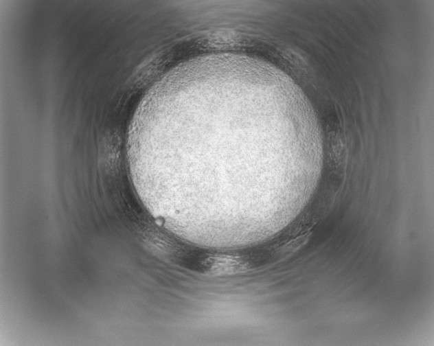 X0000052990507200508051111