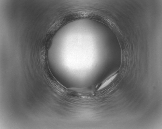 X0000052990509200508051111