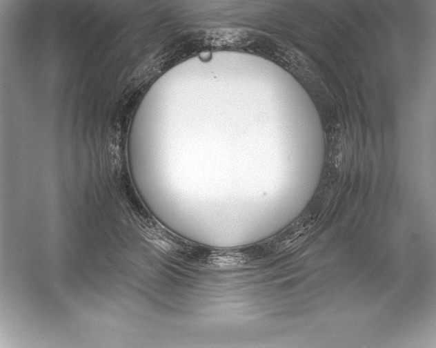 X0000052990510200508051111