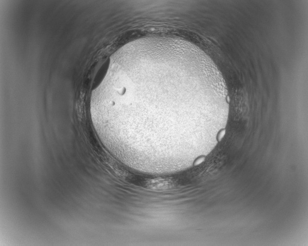 X0000052990511200508051111