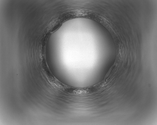 X0000052990512200508051111