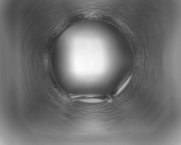 X0000052990513200508051111