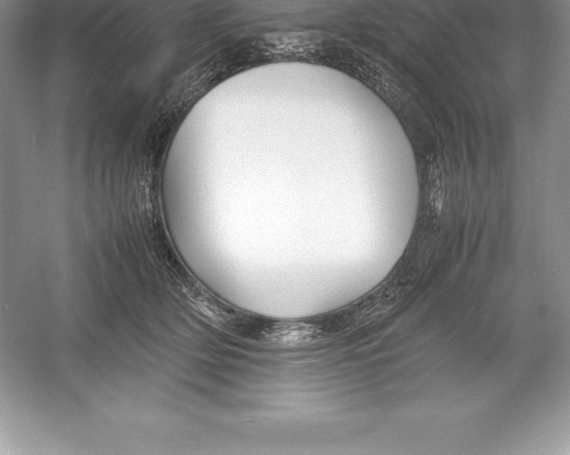 X0000052990514200508051111