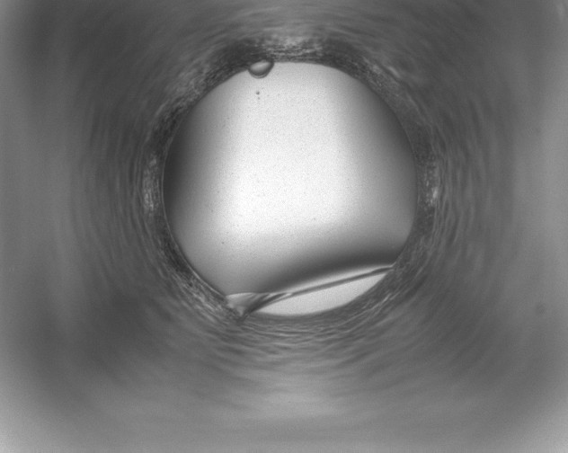 X0000052990515200508051111