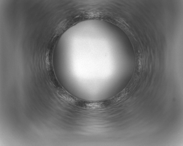 X0000052990516200508051111