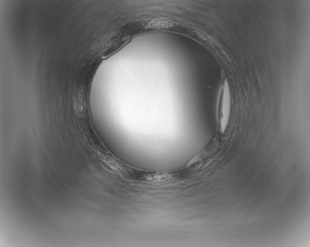 X0000052990517200508051111