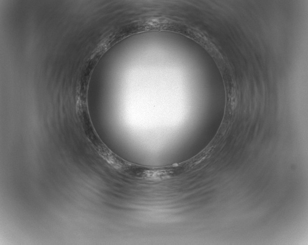 X0000052990520200508051111