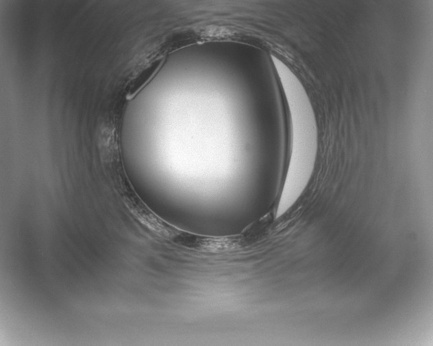 X0000052990521200508051111