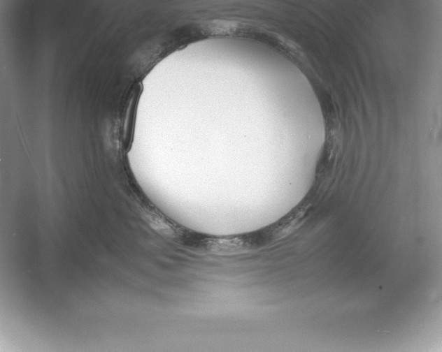 X0000052990525200508051111