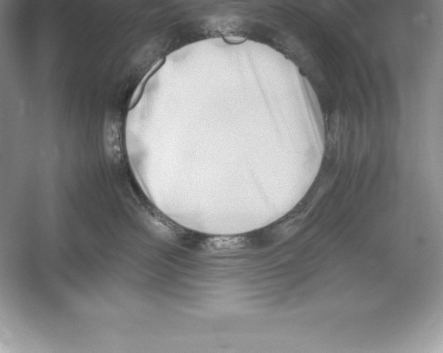 X0000052990526200508051111