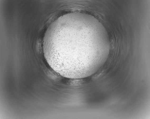 X0000052990527200508051111