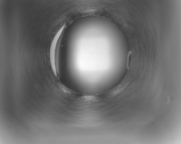 X0000052990528200508051111