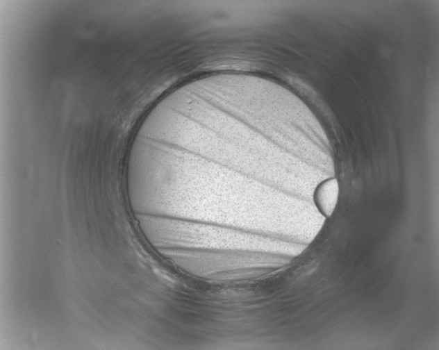 X0000052990529200508051110