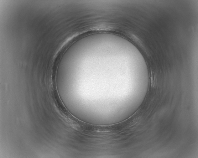 X0000052990531200508051110