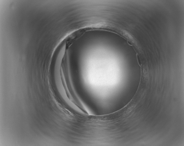 X0000052990532200508051110