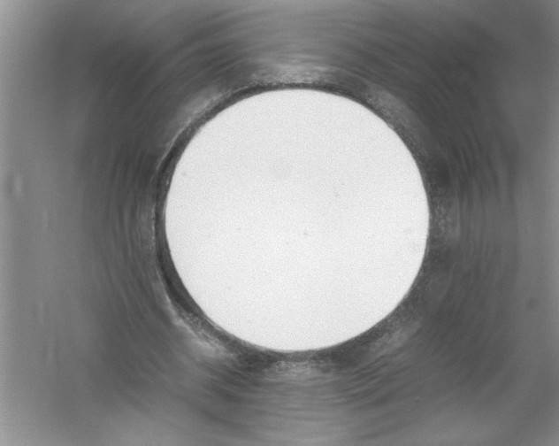 X0000052990534200508051110