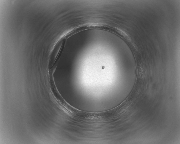 X0000052990535200508051110