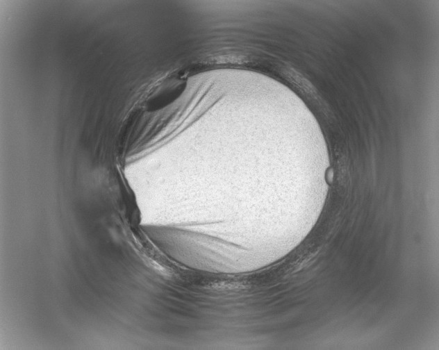 X0000052990537200508051110