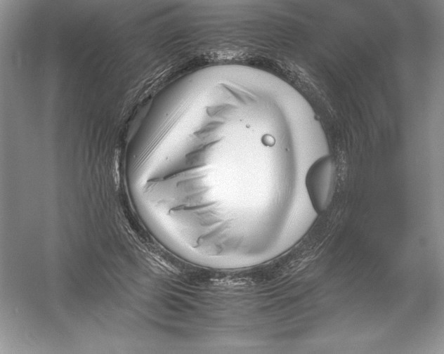 X0000052990545200508051110