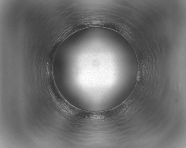 X0000052990546200508051110