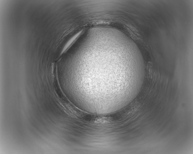 X0000052990550200508051110