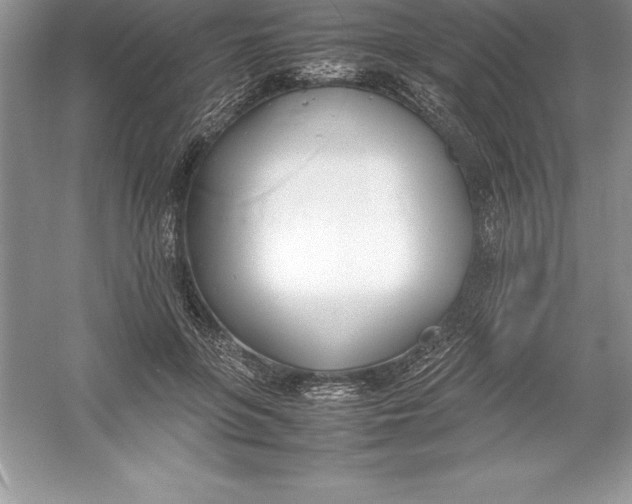 X0000052990551200508051110