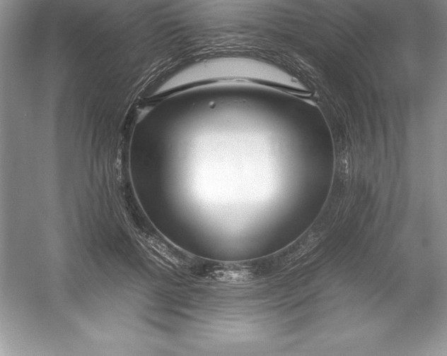 X0000052990552200508051110