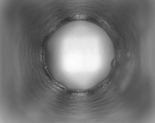 X0000052990553200508051110