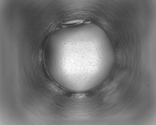 X0000052990554200508051110