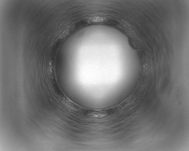 X0000052990555200508051111