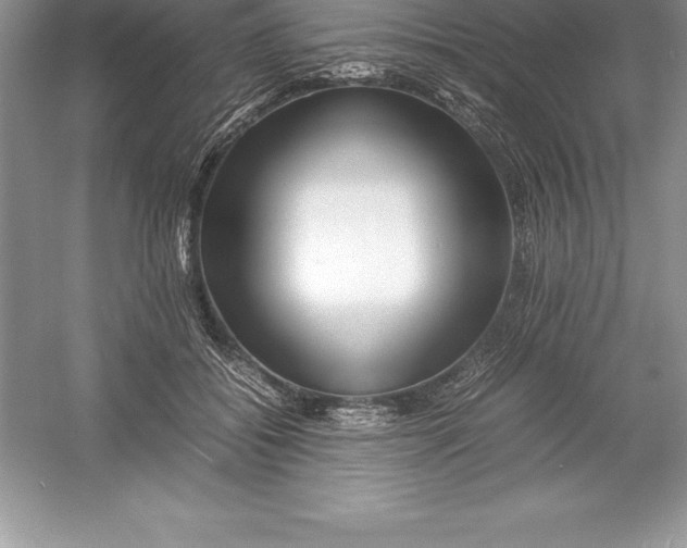 X0000052990556200508051111