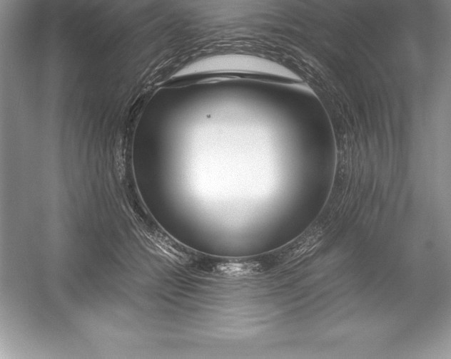 X0000052990558200508051111