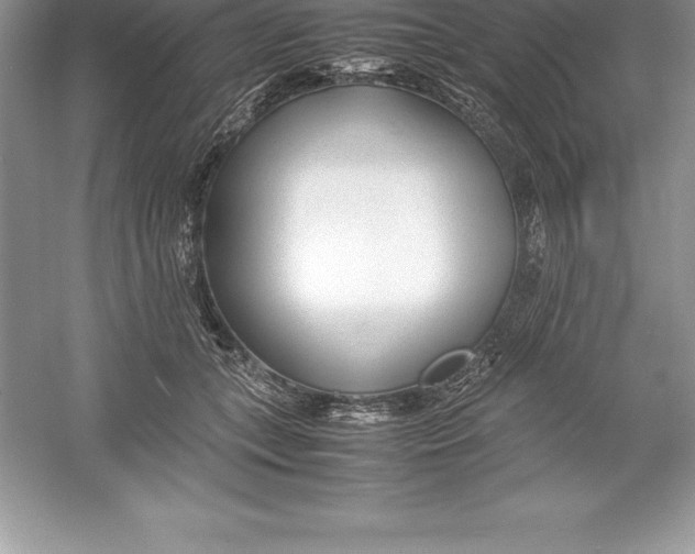 X0000052990559200508051111