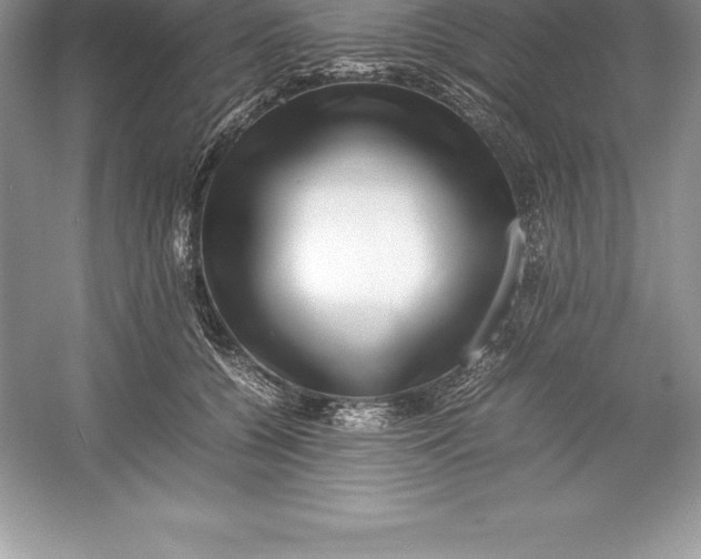 X0000052990560200508051111