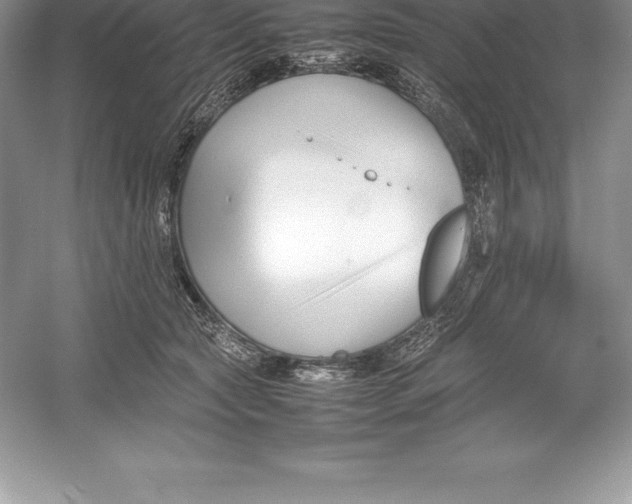 X0000052990561200508051111