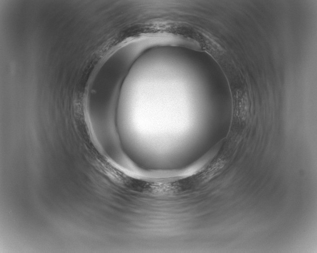 X0000052990562200508051111