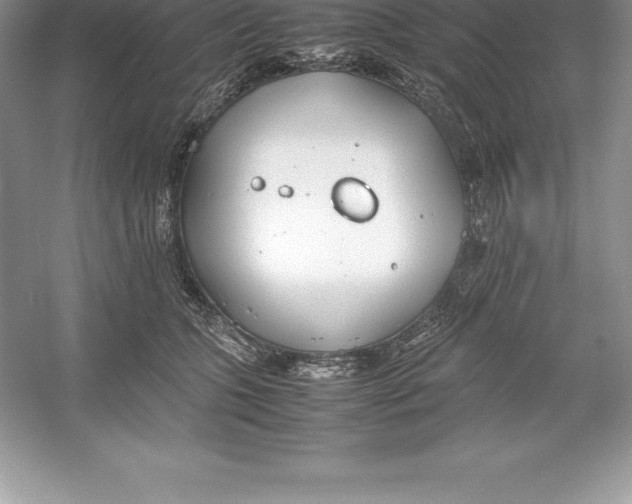 X0000052990563200508051111