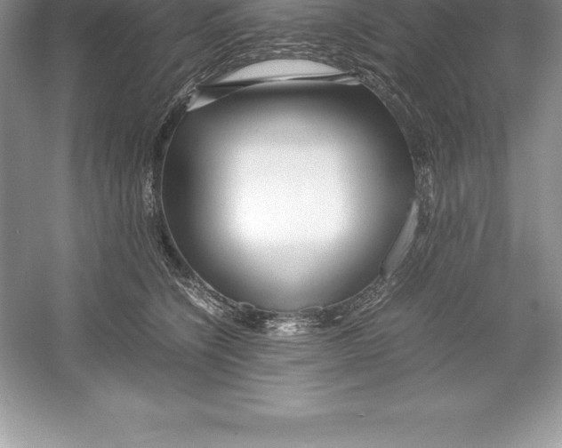 X0000052990564200508051111