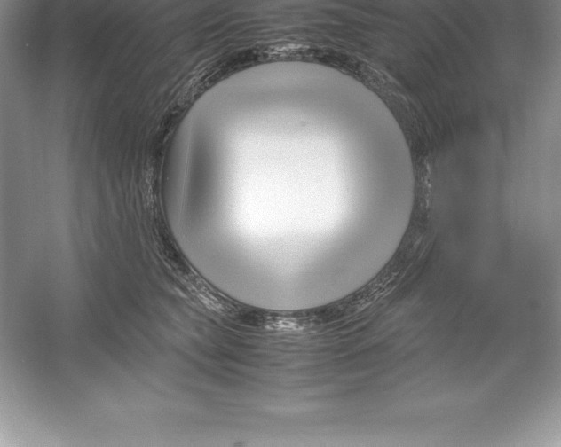 X0000052990565200508051111