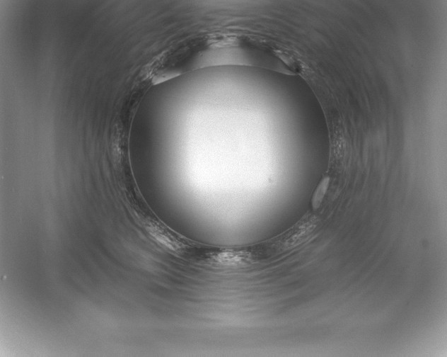 X0000052990566200508051111