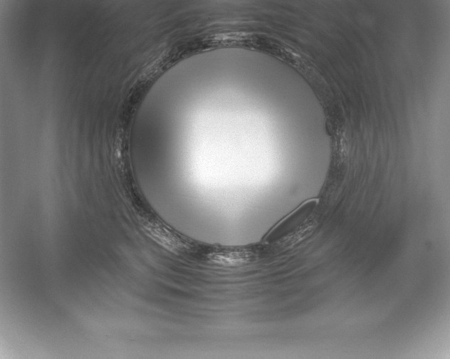 X0000052990567200508051111