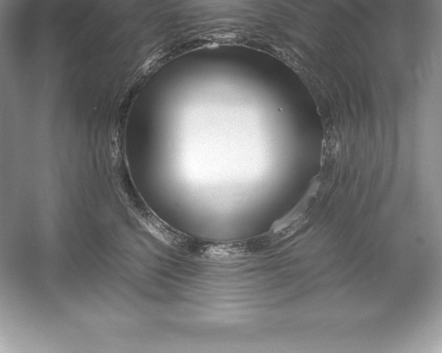 X0000052990568200508051111