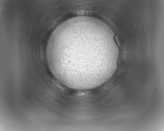 X0000052990569200508051111