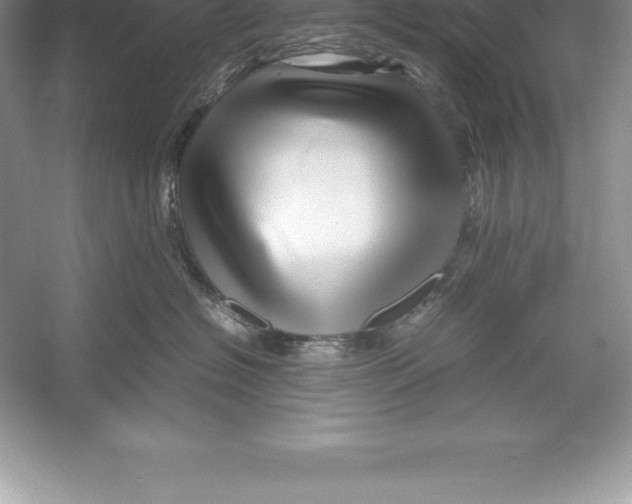 X0000052990574200508051111