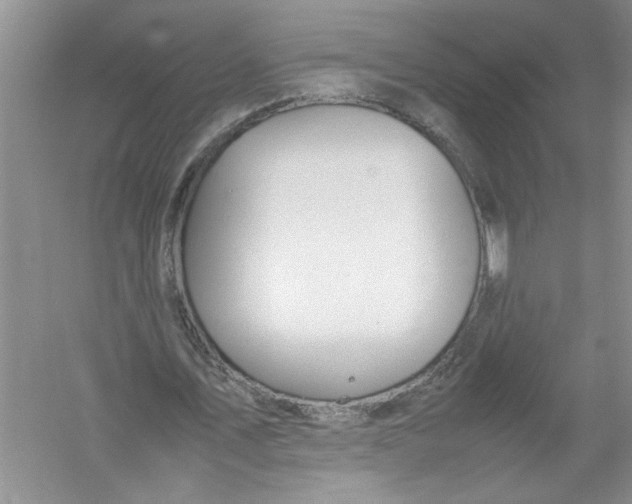 X0000052990579200508051110