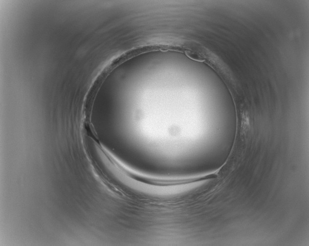 X0000052990580200508051110