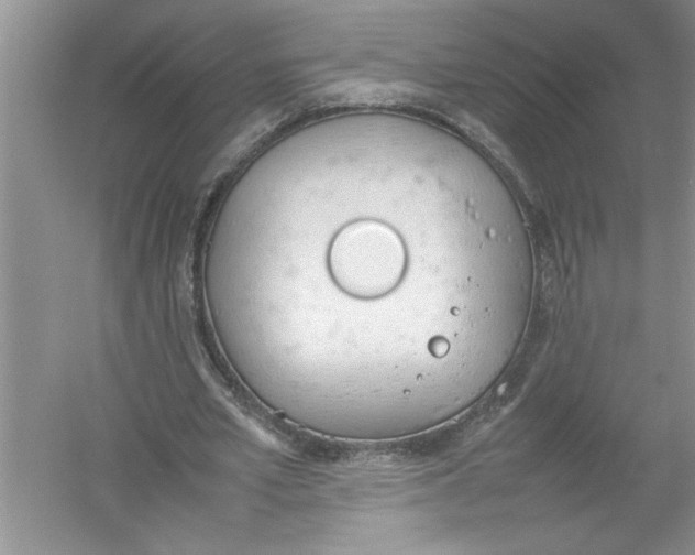 X0000052990581200508051110