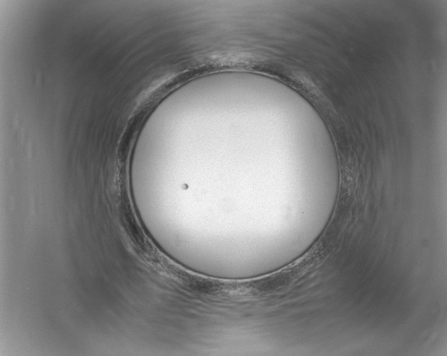 X0000052990583200508051110