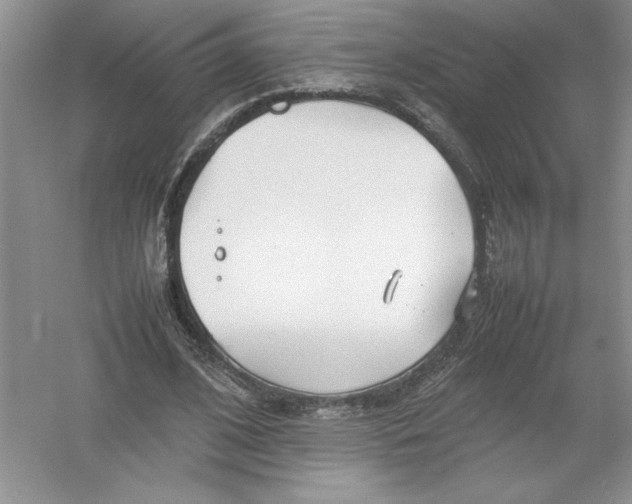 X0000052990584200508051110