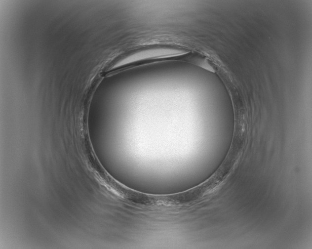 X0000052990585200508051110